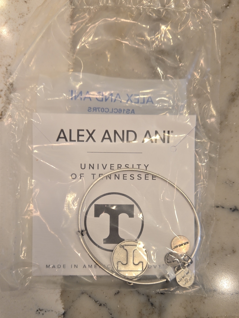 NWT Alex And Ani Silver Tennessee Bracelet